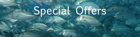 Bali Diving Special Offers AquaMarine Diving - Bali