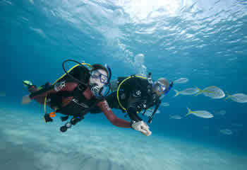 PADI Discover Scuba Diving