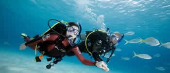 Discover Scuba Diving