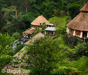 Bagus Jati Resort, Ubud Bagus Jati Resort, Ubud