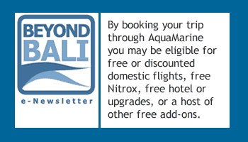 Beyond Bali eNewsletter- Indonesia Liveaboard Discounts