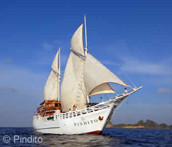 Indonesia Liveaboard, Pindito Liveaboard