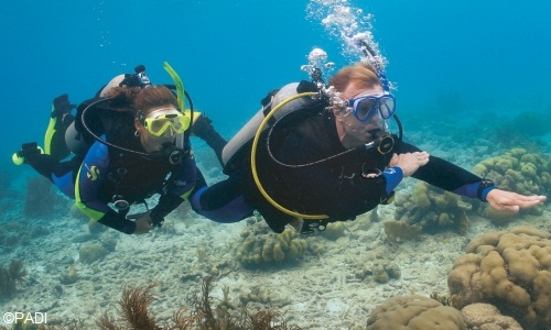 PADI Dive Courses