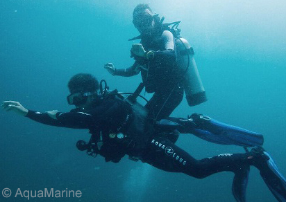 PADI Divemaster Internship Programme