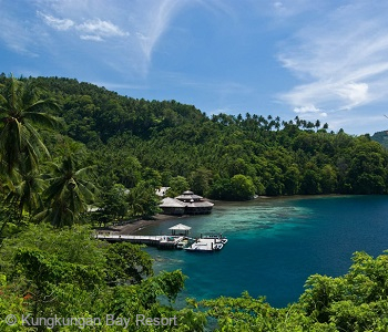 Kungkungan Bay Resort, Lembeh Strait