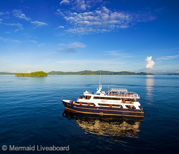 Mermaid Liveaboards, Indonesia. Komodo, Raja Ampat, Bali