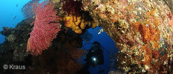 PADI Wreck Course in Bali