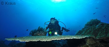 PADI Master Scuba Diver - Bali
