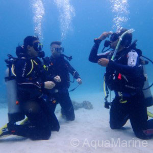 PADI Dive Training - Diver and Turtle