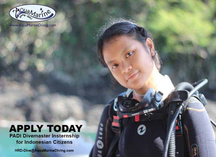 Divemaster Internship for Indonesians
