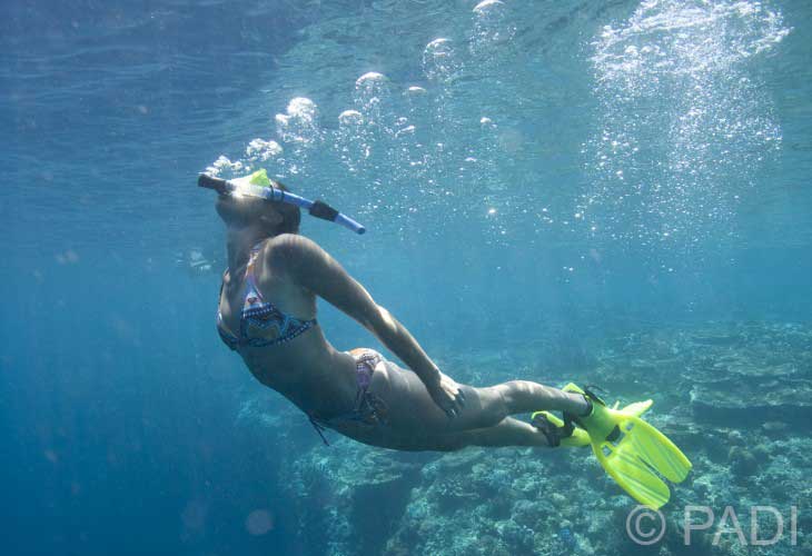 Enjoy the Snorkelling!