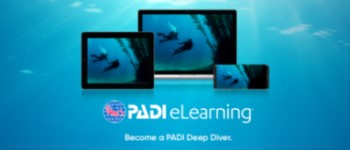 Deep Diver