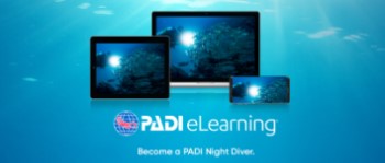 Night Diver