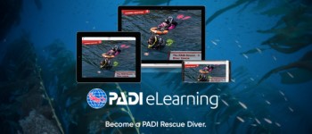 Rescue Diver