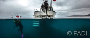 Boat Diver