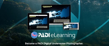 Digital UW Photographer