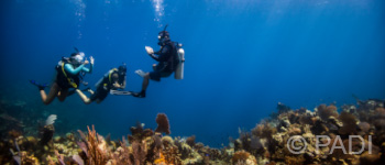 Drift Diver