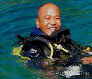Ketut OWSI #462394