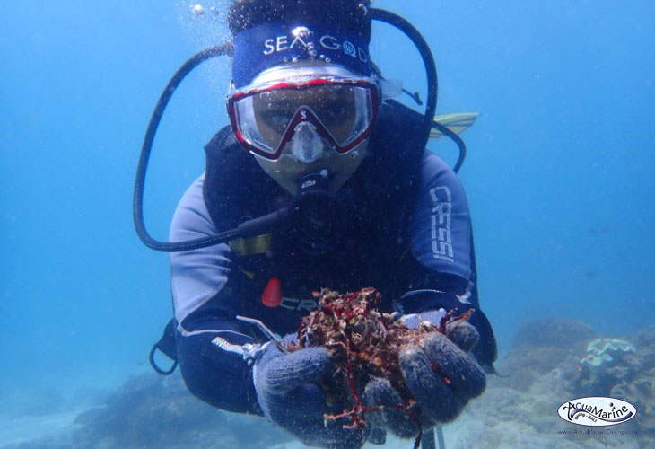 Blue-Project-by-AquaMarine-Diving-Bali