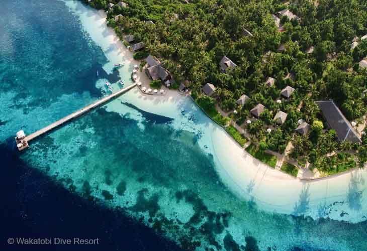 Scuba-Diving-Indonesia-Wakatobi