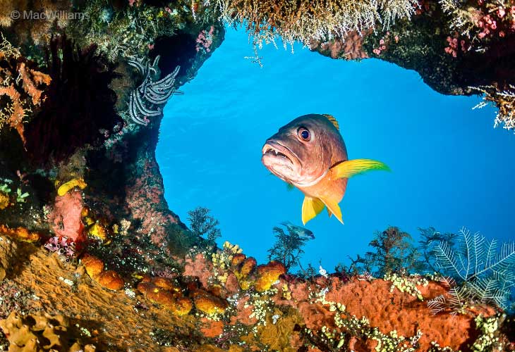 PADI-Discover-Scuba-Diving-Tulamben