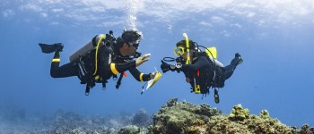 Dive Theory