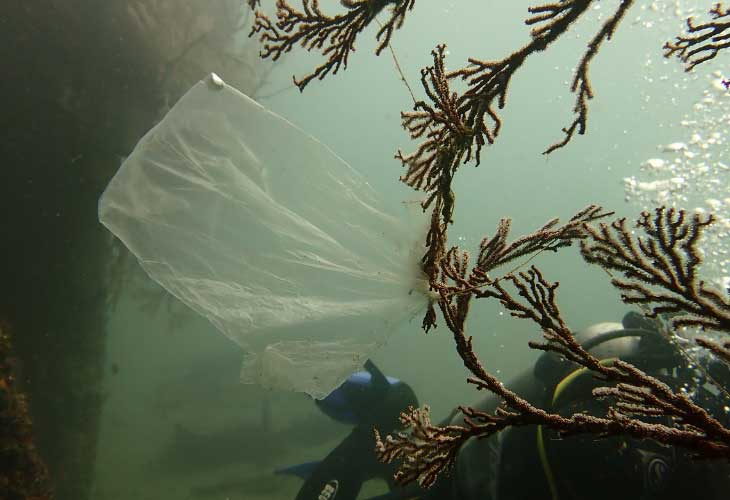 Consequences-of-Plastic-Waste