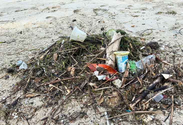 Microplastics-in-the-Ocean
