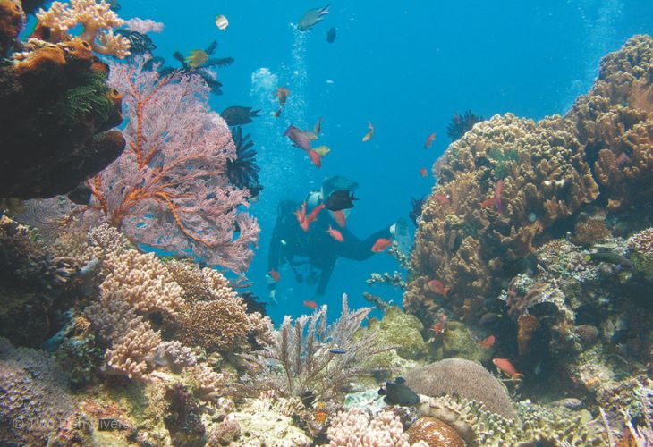 Diving-in-Lombok