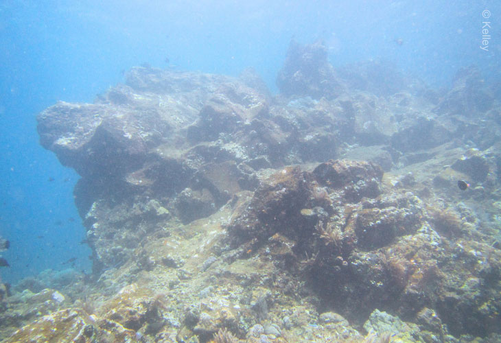 Mining-Waste-Damage-Coral-Reefs