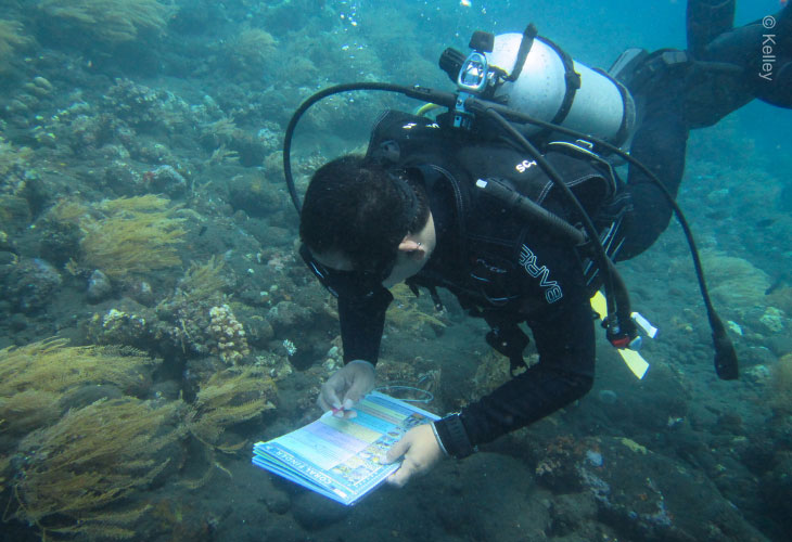 Protect-Coral-Reefs