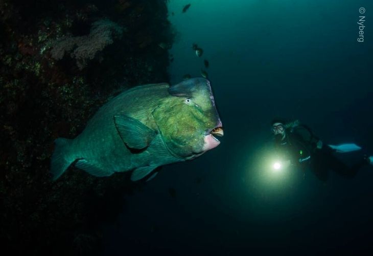 Night-Dive-Tulamben-Bay