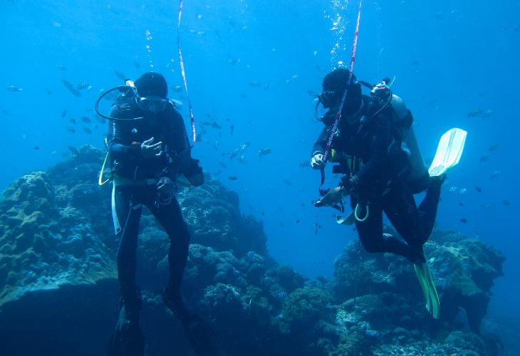 Private-PADI-Instructor-with-AMD-B
